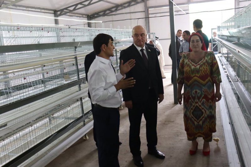 Rasht tumanida sport maydonchalari, parrandachilik fermasi va yangi maktab binosi foydalanishga topshirildi.