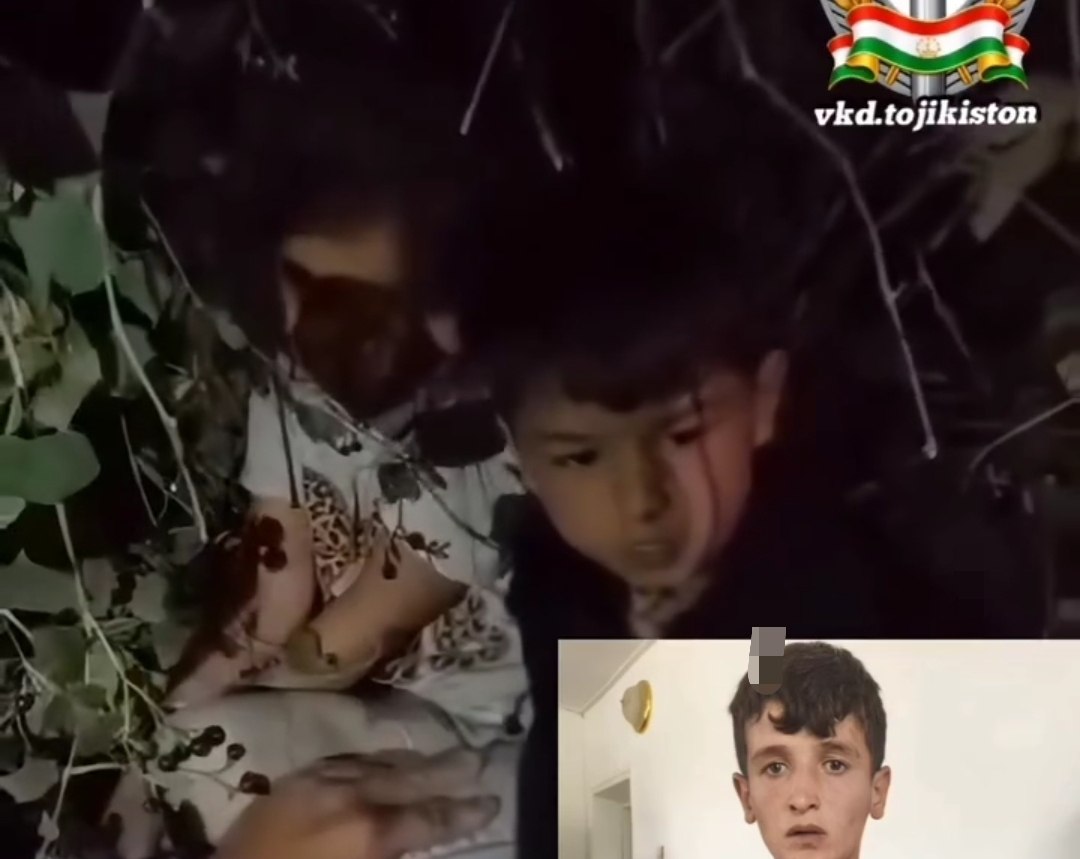 Mo'minobodda ikki bolaga hujum qilganlikda gumon qilinayotgan shaxs qo'lga olindi.