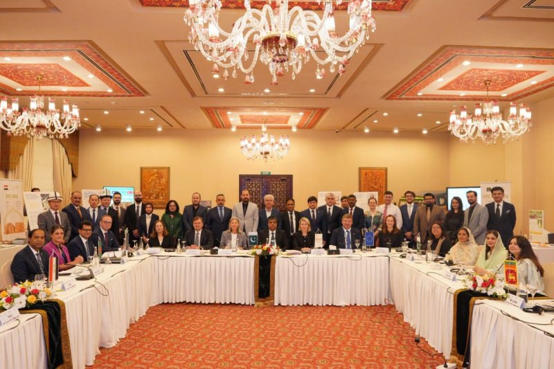 Tojikiston Budapesht jarayoni konferensiyasida mehnat migratsiyasiga o'z yondashuvlarini taqdim etdi.